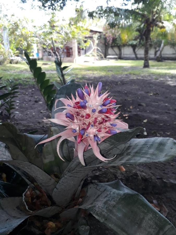 Refugio Das Bouganvillea Igarassu Kültér fotó